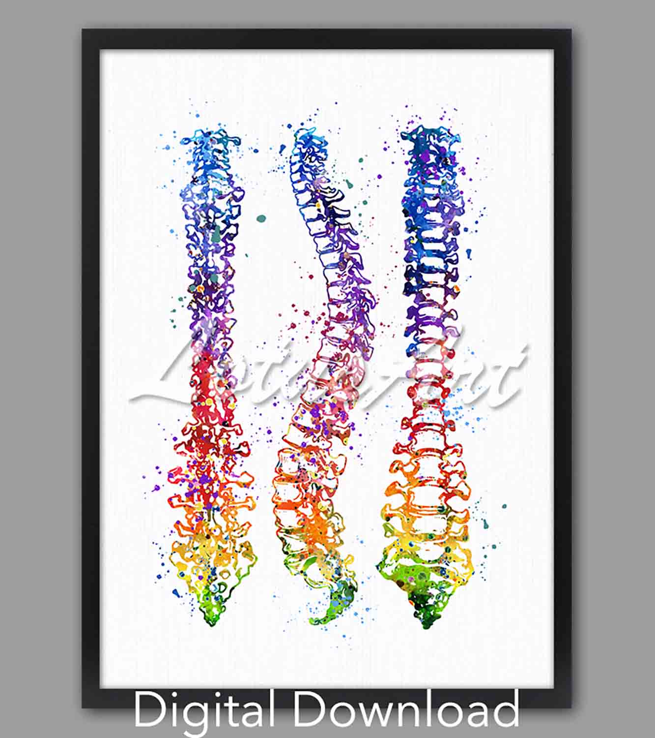 Human spine watercolor print in rainbow, anatomy medical art, instant digital download for clinic & doctor office decor
