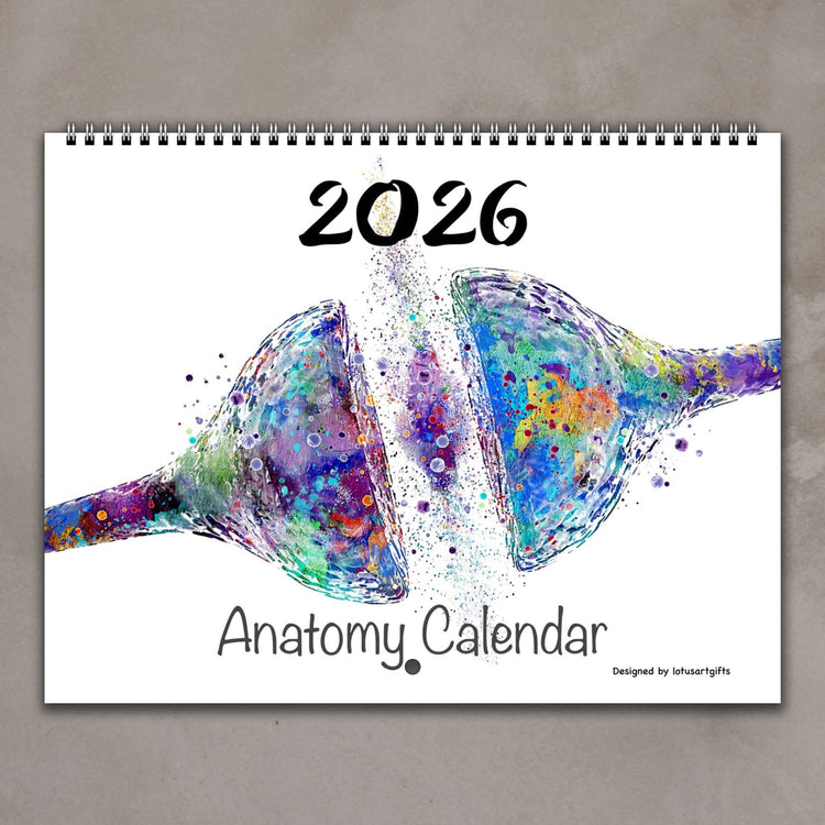 2026 anatomy wall calendar featuring watercolor medical art of brain synapse and nerve cells in multicolor