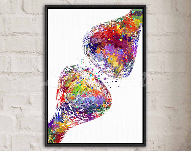 Watercolor anatomy canvas art print of colorful synapse receptor and brain nerve cells - medical neuroscience decor