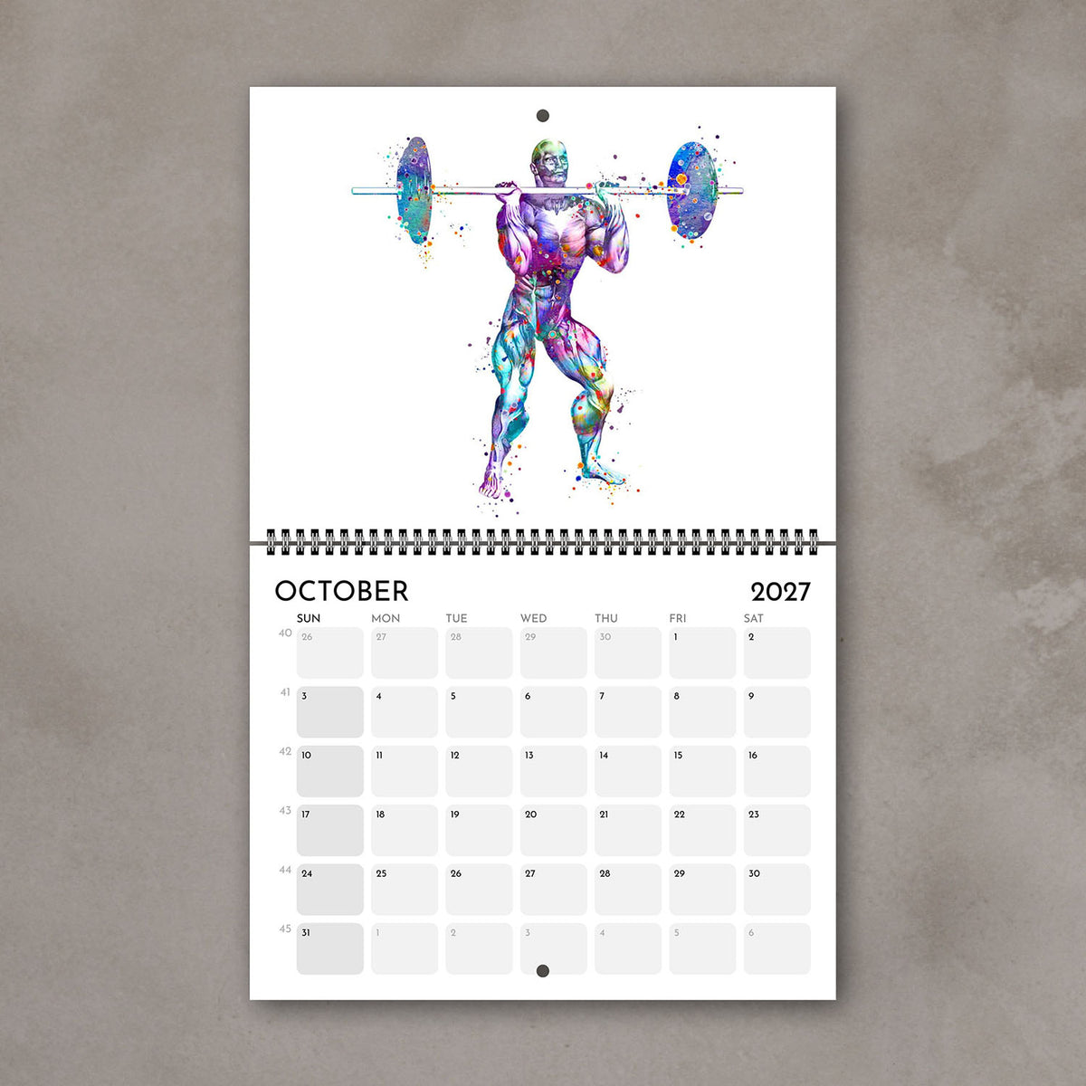 2027 sports anatomy wall calendar October page featuring weightlifting muscle watercolor artwork