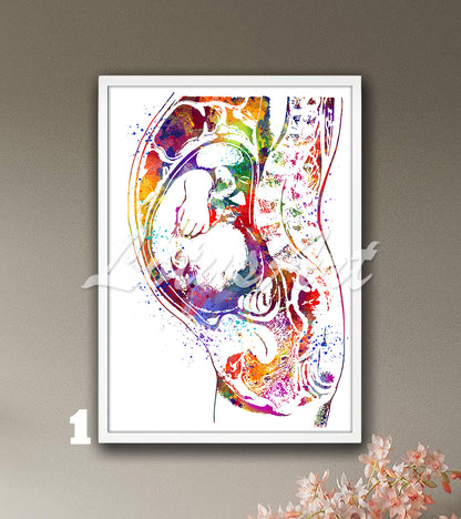 Art print of a beautiful and detailed watercolor painting showing a baby in the womb during pregnancy in multi-color.