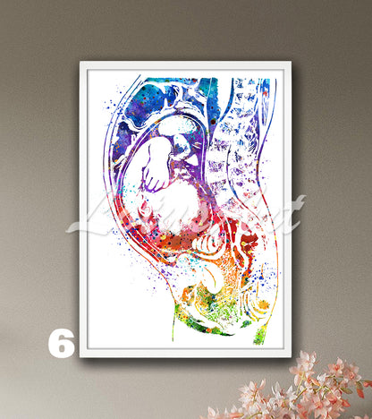Art print of a beautiful watercolor painting in rainbow colors depicting a baby in the womb during pregnancy.