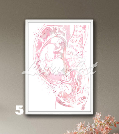 Art print of a beautiful watercolor painting in light pink depicting a baby in the womb during pregnancy.