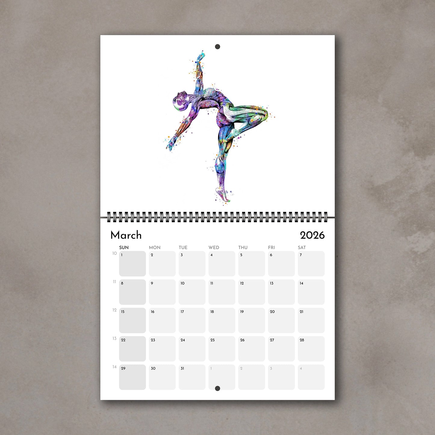 2026 anatomy wall art calendar with human body muscles of gymnast, sports medical watercolor illustrations