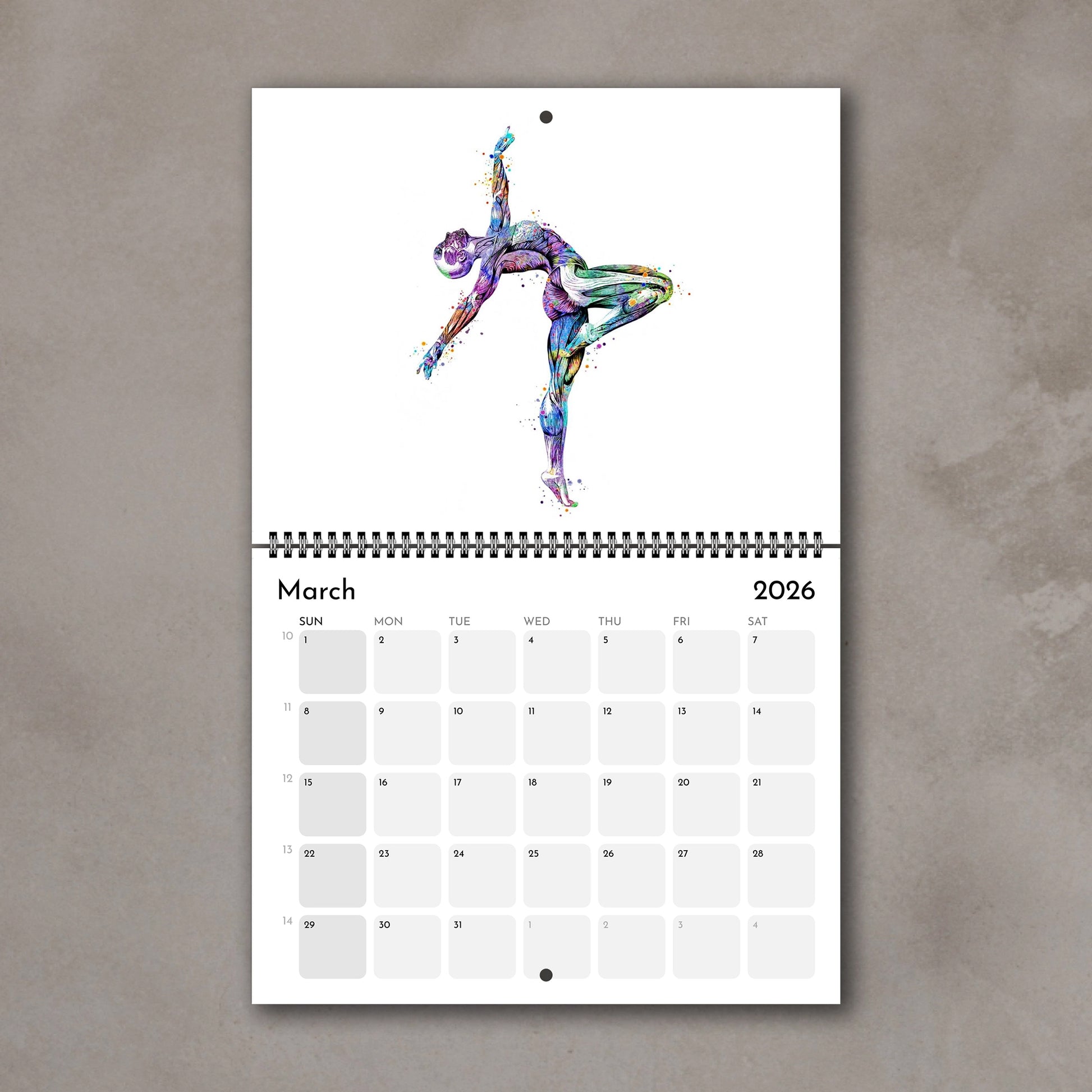 2026 anatomy wall art calendar with human body muscles of gymnast, sports medical watercolor illustrations