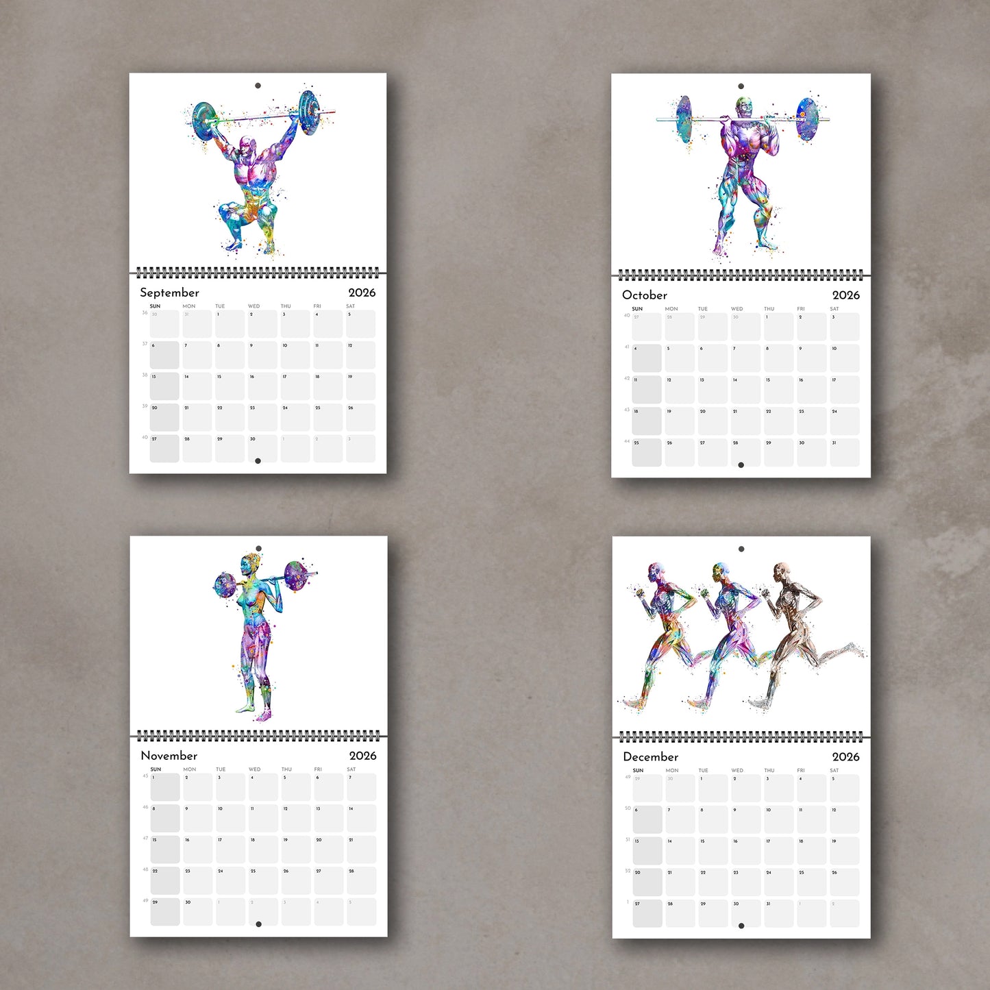 2026 anatomy watercolor wall art calendar with human body muscles in sports, gift for medical students and doctors