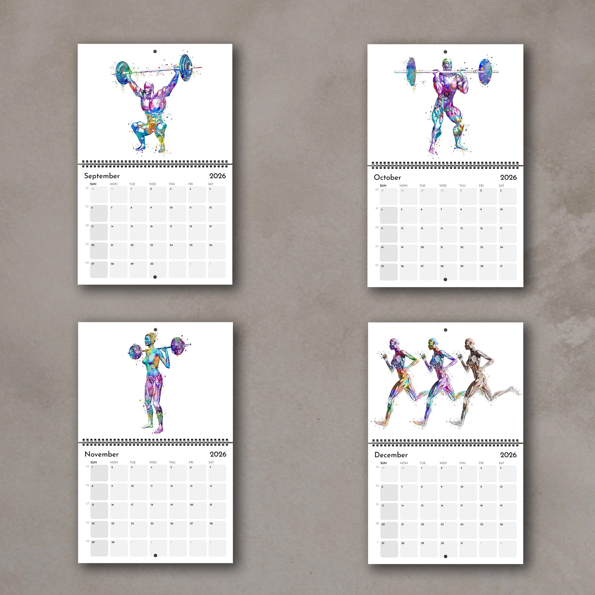 2026 anatomy watercolor wall art calendar with human body muscles in sports, gift for medical students and doctors