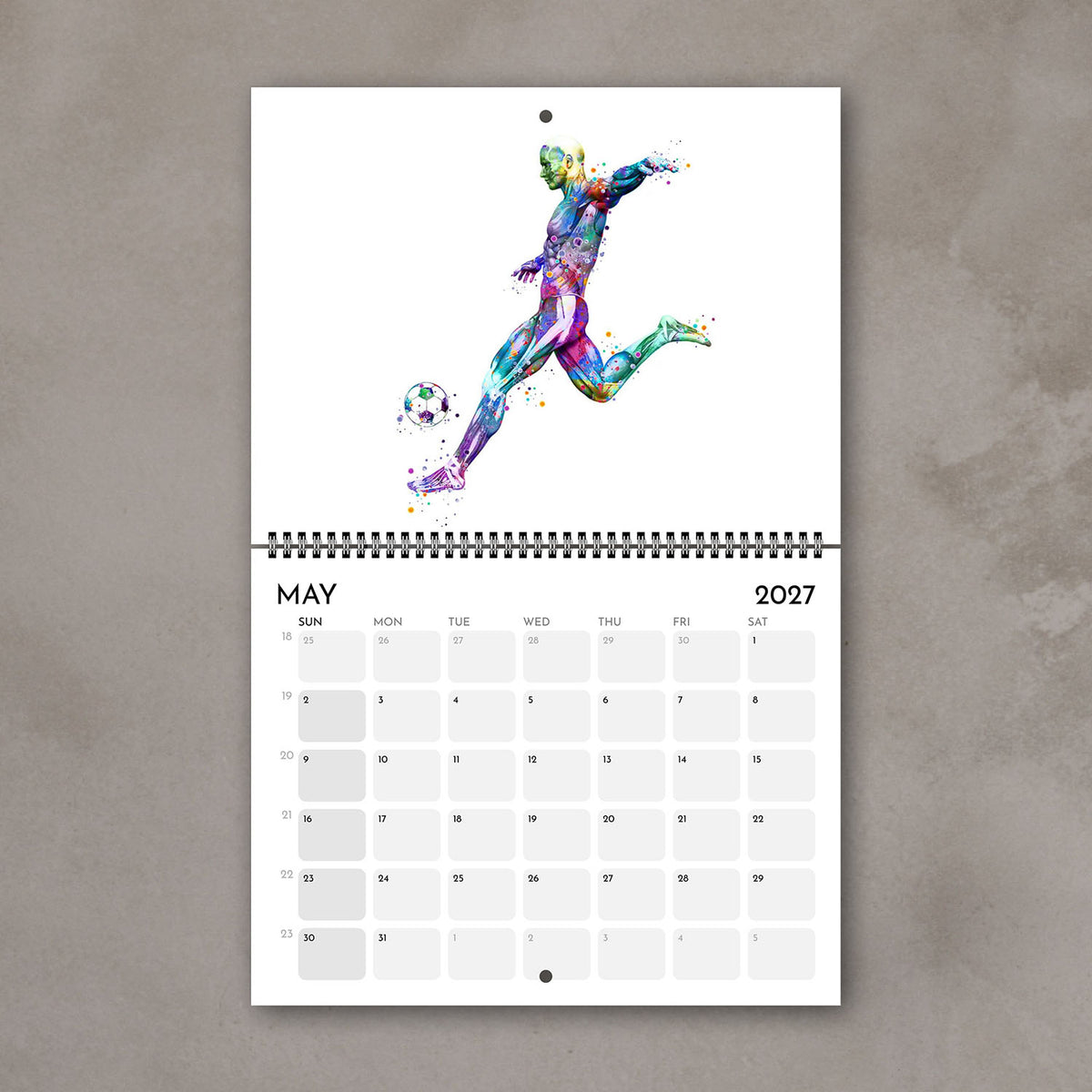 2027 anatomy wall art calendar May page with human body muscles in male soccer, sports artwork, medical science decor