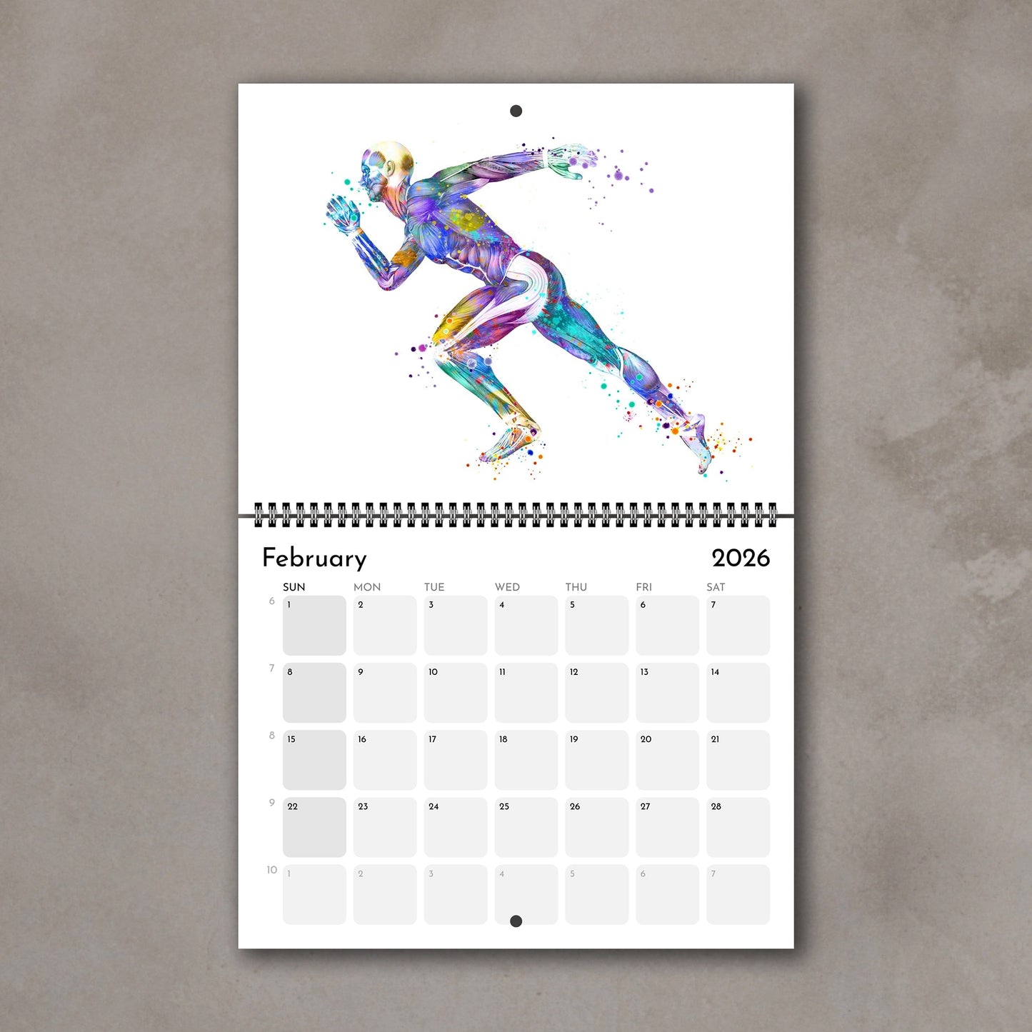 2026 anatomy wall calendar spreads featuring human body muscles, medical artwork of sports running