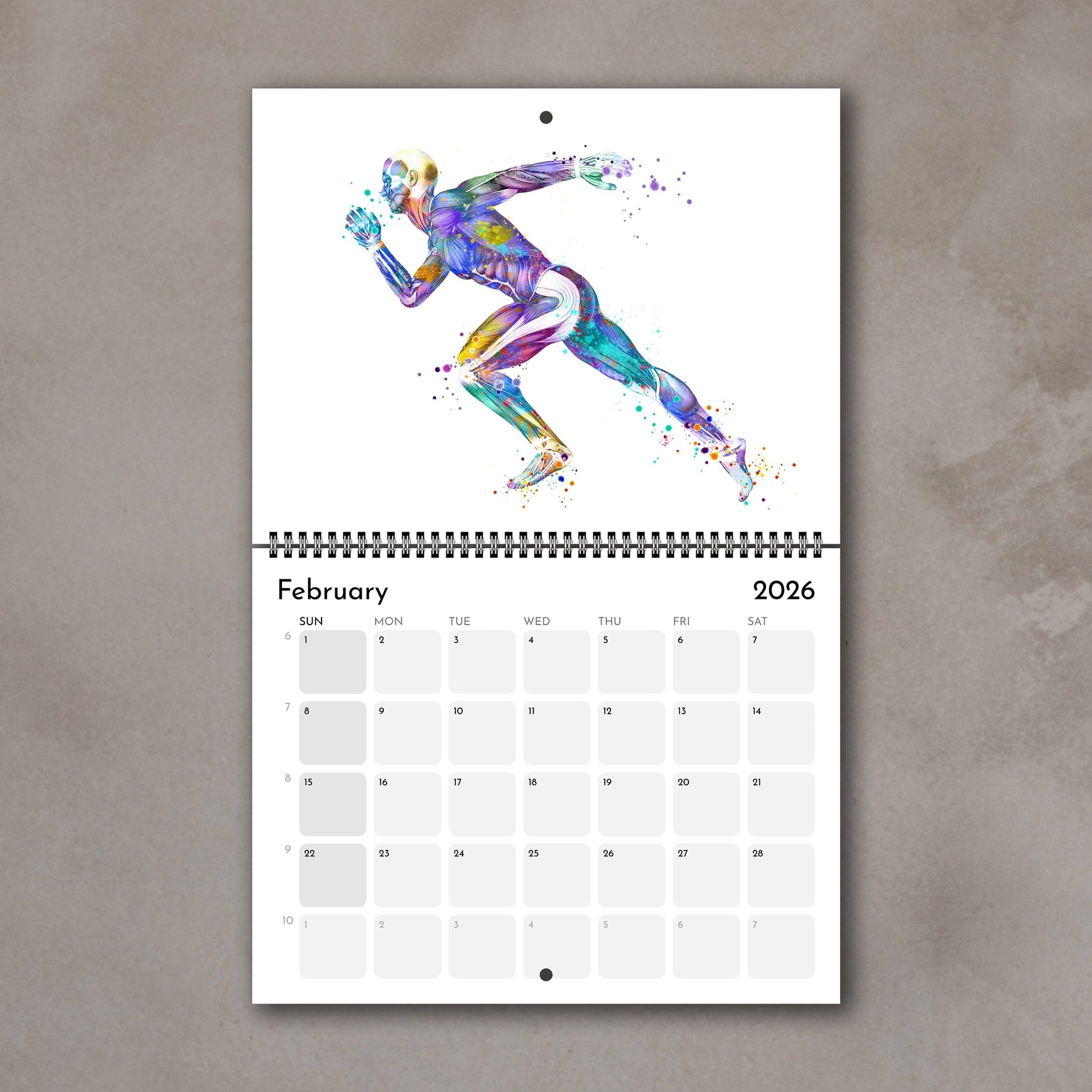 2026 anatomy wall calendar spreads featuring human body muscles, medical artwork of sports running