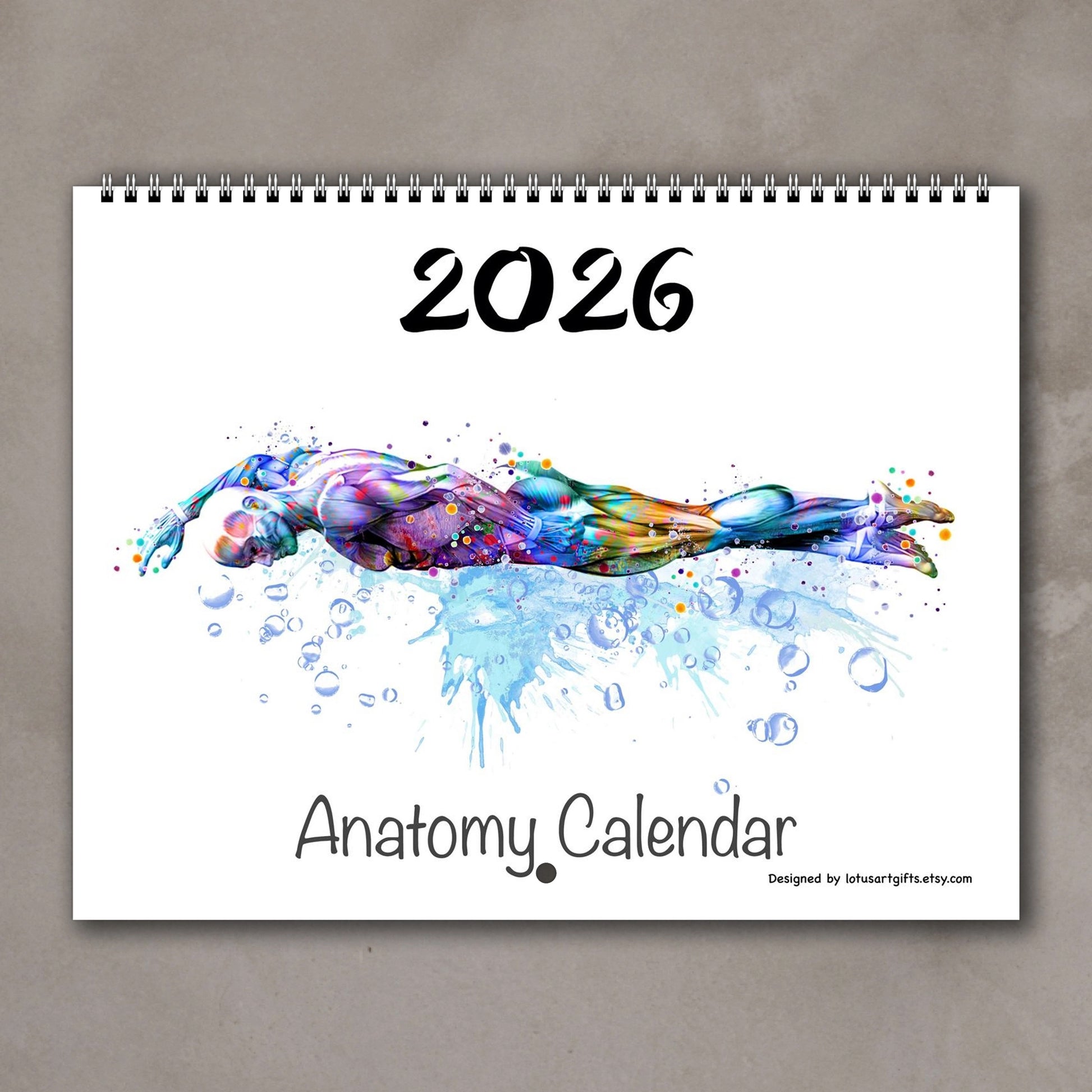 2026 anatomy wall calendar cover, body muscles of swimming sports, medical watercolor art, clinic decor