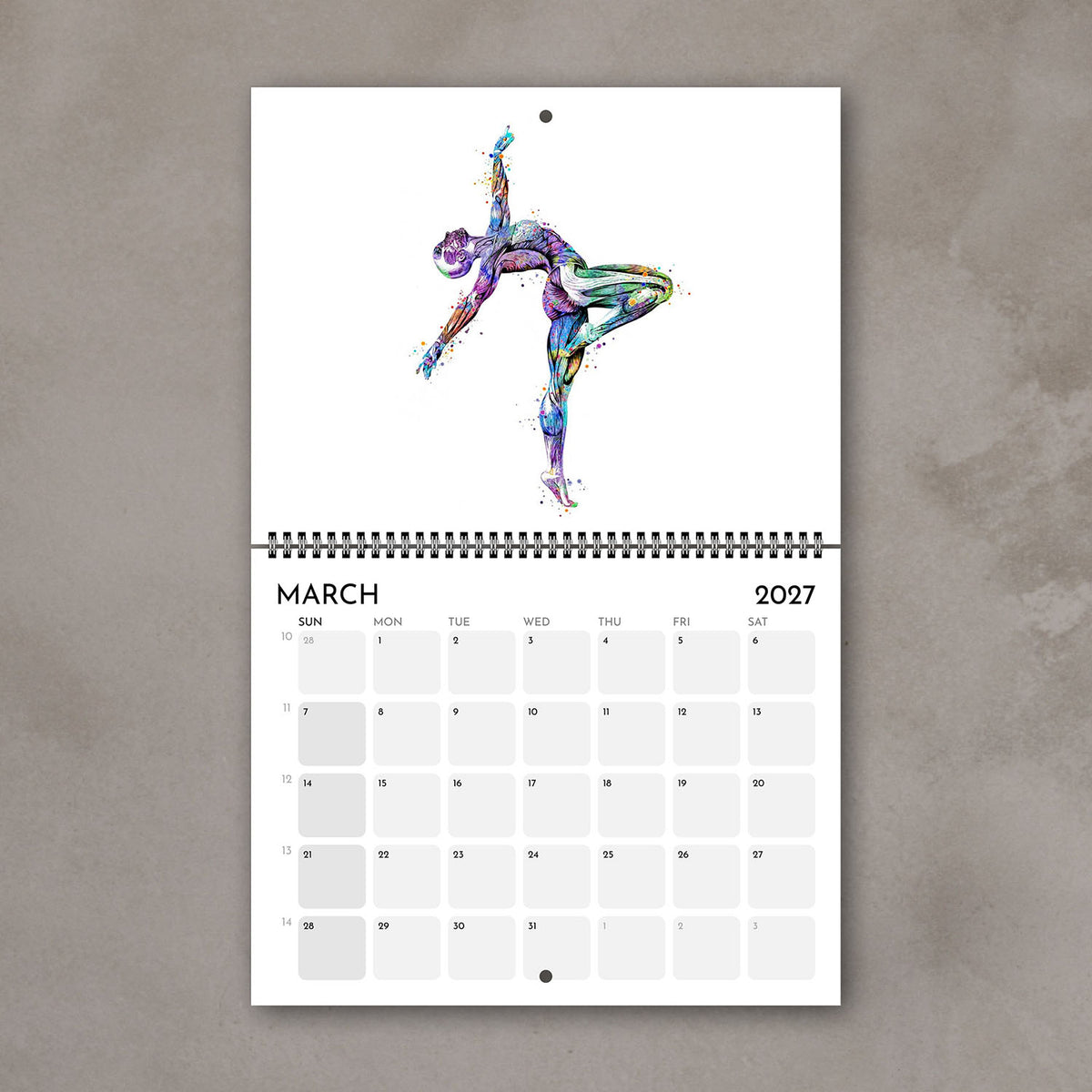 2027 anatomy wall art calendar March page with human body muscles of gymnast, sports medical watercolor illustrations