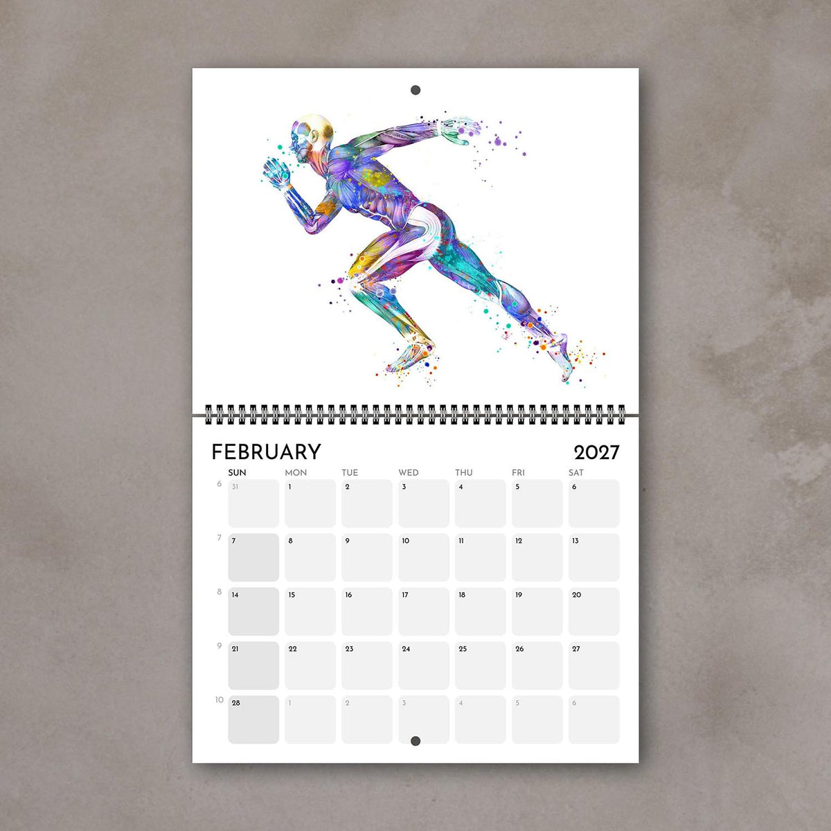 2027 anatomy wall calendar February spreads featuring human body muscles, medical artwork of sports running