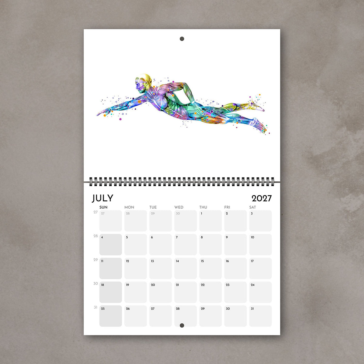 2027 anatomy wall calendar July page showing watercolor human body muscles in swimming, sports medical art