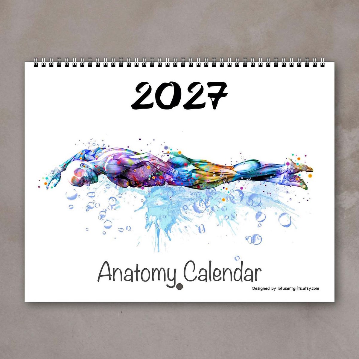 2027 anatomy wall calendar cover, body muscles of swimming sports, medical watercolor art, clinic decor