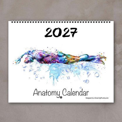 2027 anatomy wall calendar cover, body muscles of swimming sports, medical watercolor art, clinic decor