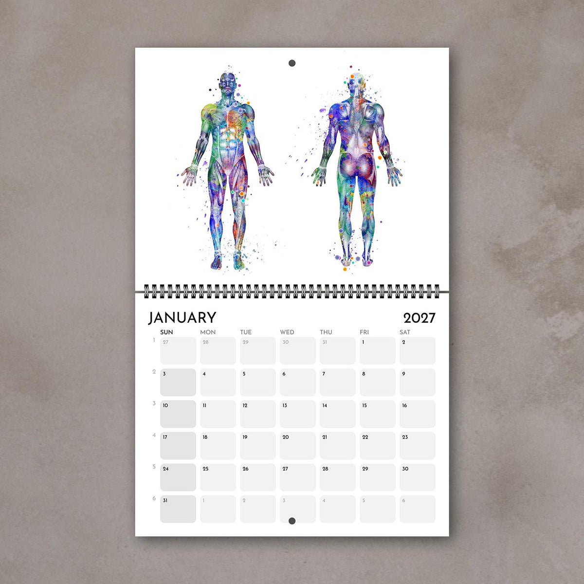 2027 anatomy wall calendar January page with human body muscles, medical watercolor art, doctor gif
