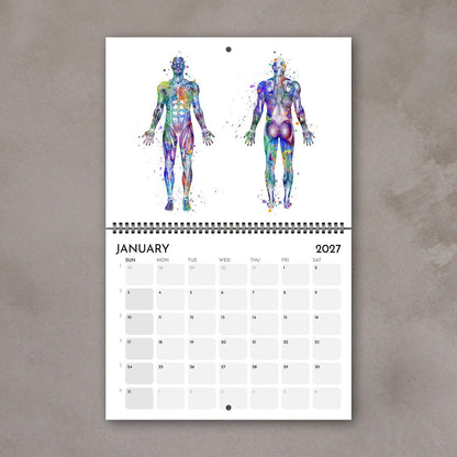 2027 anatomy wall calendar January page with human body muscles, medical watercolor art, doctor gif