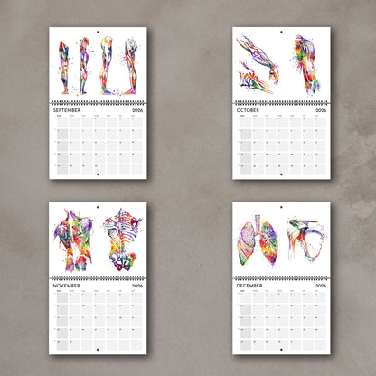 2026 anatomy wall calendar showing human anatomy arts gift for medical students and doctors