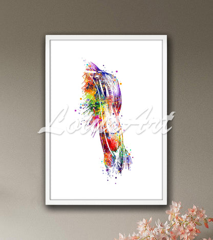 Arm muscles anatomy print with detail multicolor watercolor - physiotherapy medical artwork