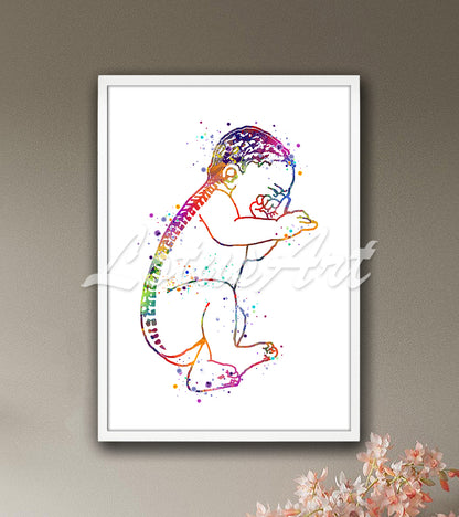 Baby spine anatomy detailed illustration multicolor watercolor - childbirth medical artwork
