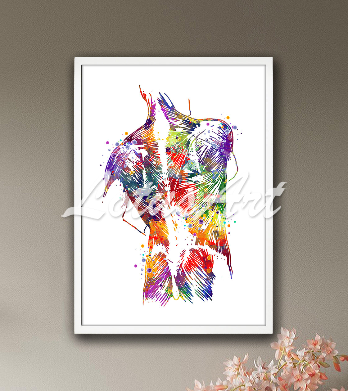 Back muscles anatomy art print detailed illustration colorful watercolor - chiropractic office painting