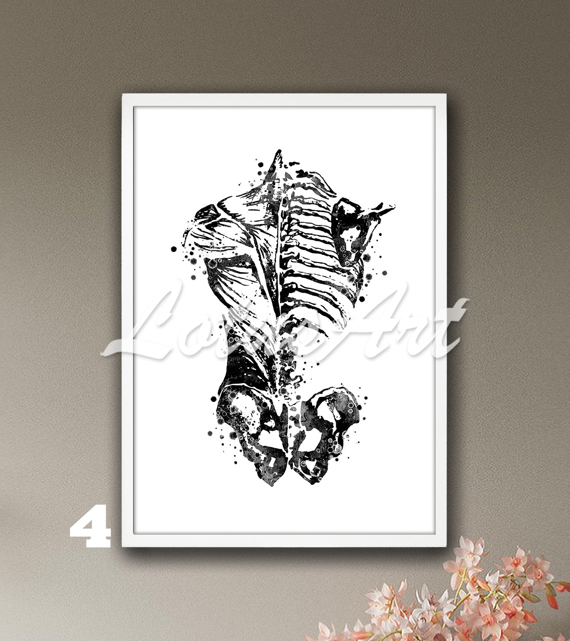 Black white anatomy art print of human back muscles and bones, watercolor medical painting, best doctor gift.