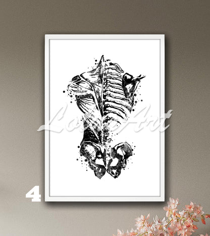 Black white anatomy art print of human back muscles and bones, watercolor medical painting, best doctor gift.