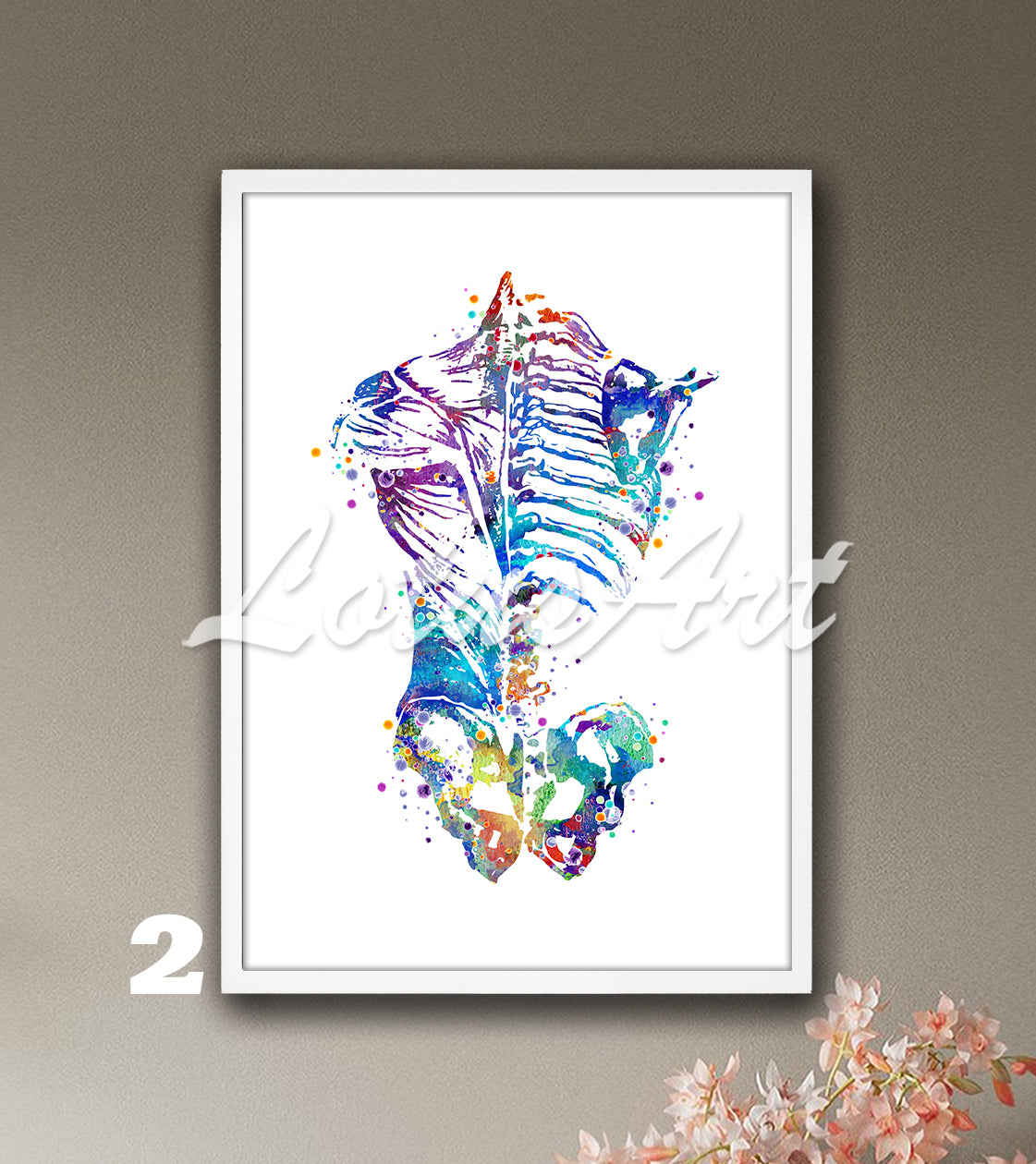 Multicolor anatomy art print of human back muscles and bones, watercolor medical artwork, clinic wall decor.