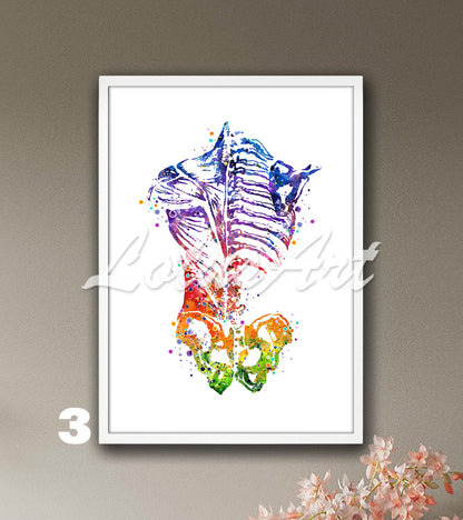 Rainbow watercolor anatomy art print of human back muscles and bones, medical painting for clinic wall decor.