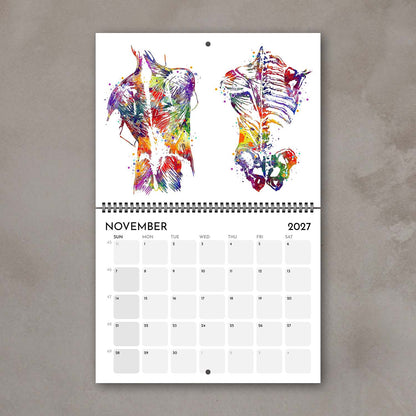 2027 medical wall calendar display human back muscles anatomy colorful watercolor for clinic decor