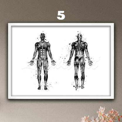 Black-white body muscles anatomy watercolor painting, medical art print, science doctor gift.