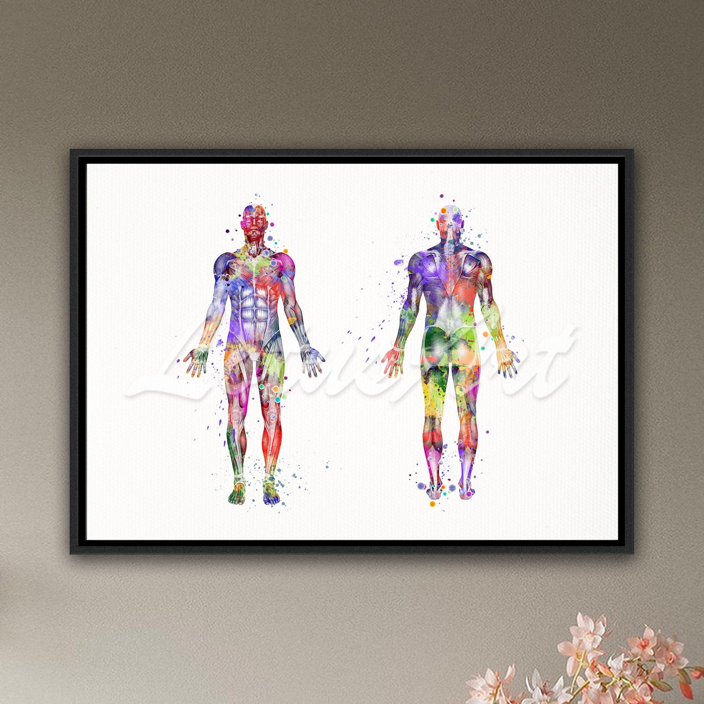 Body muscles anatomy framed canvas art print, watercolor medical painting of human musculature in multicolor.
