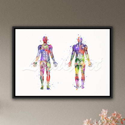 Body muscles anatomy framed canvas art print, watercolor medical painting of human musculature in multicolor.