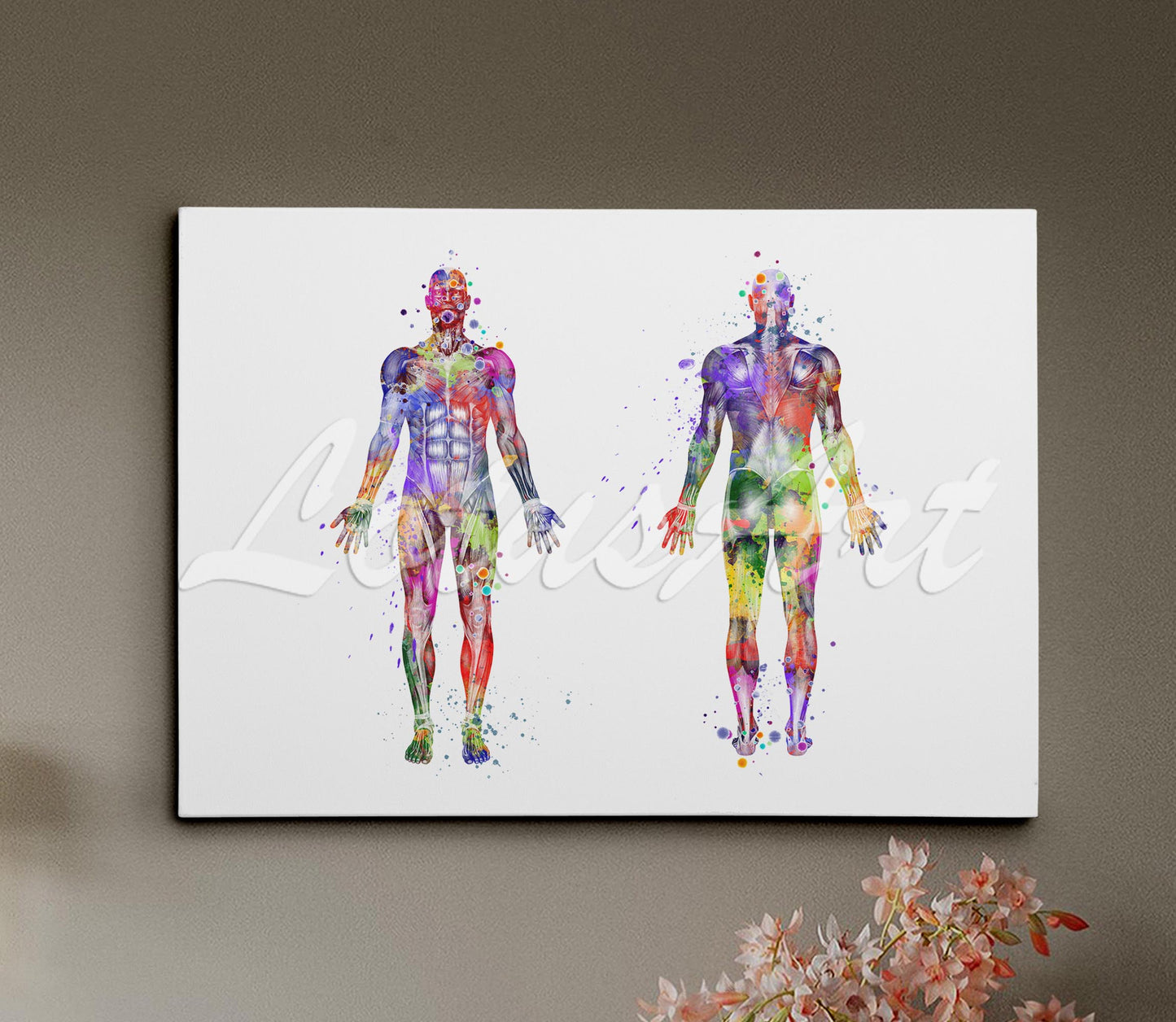 Stretched canvas art print showing body muscles anatomy, watercolor medical painting of human musculature in multicolor.