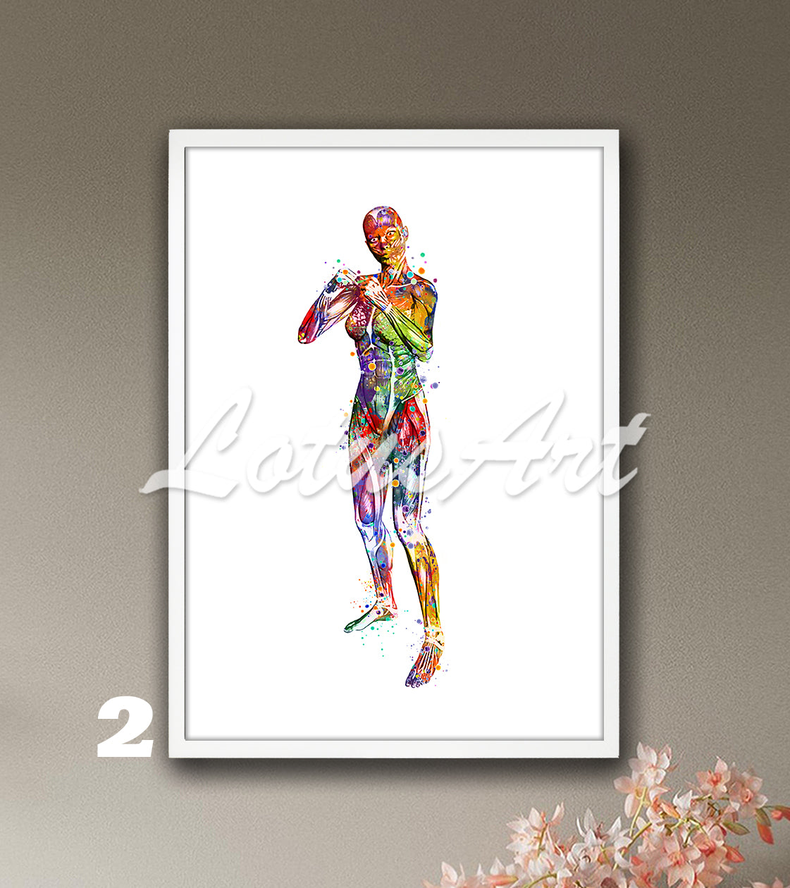 Body muscles anatomy art print of a girl boxing, multicolor watercolor wall decor, medical artwork, sports medicine art.