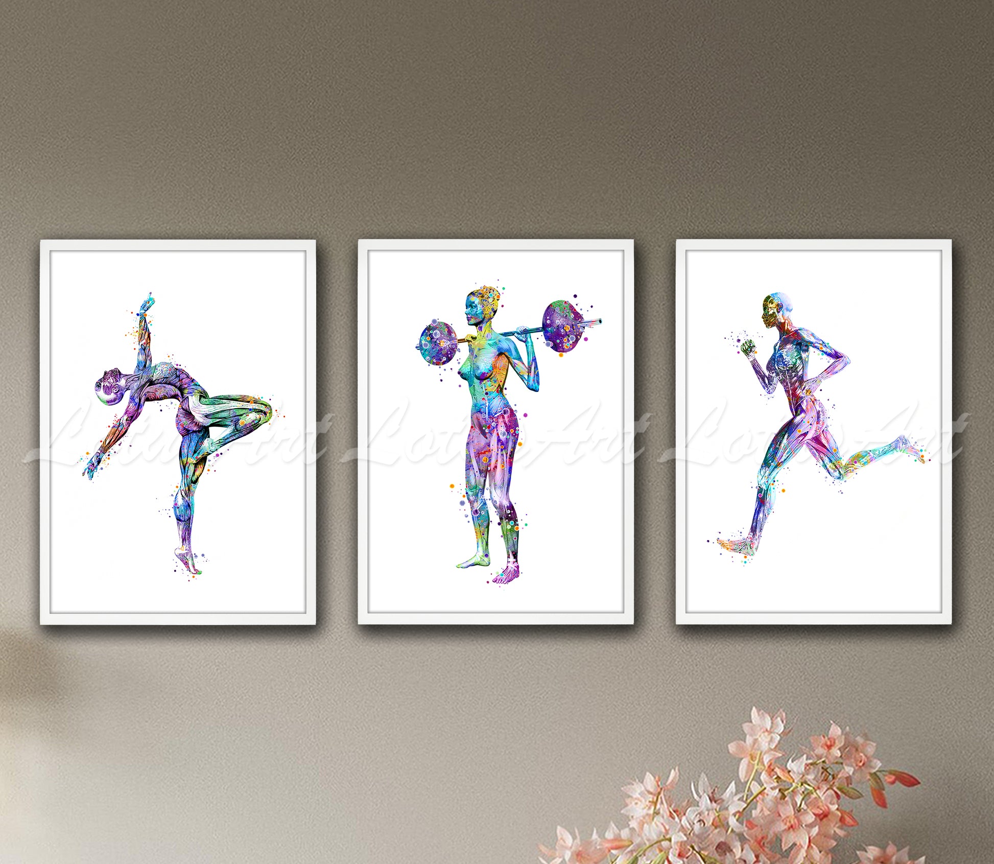 Body muscles anatomy sports watercolor art prints set of 3 in blue-purple tones - gymnast, weightlifter, runner on wall