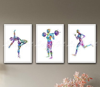 Body muscles anatomy sports watercolor art prints set of 3 in blue-purple tones - gymnast, weightlifter, runner on wall
