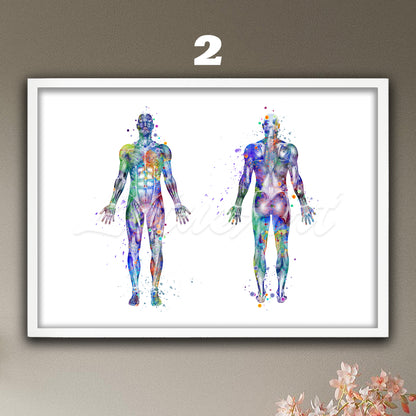 Watercolor wall art print of human body muscles anatomy, multicolor medical decor, doctor office gifts.