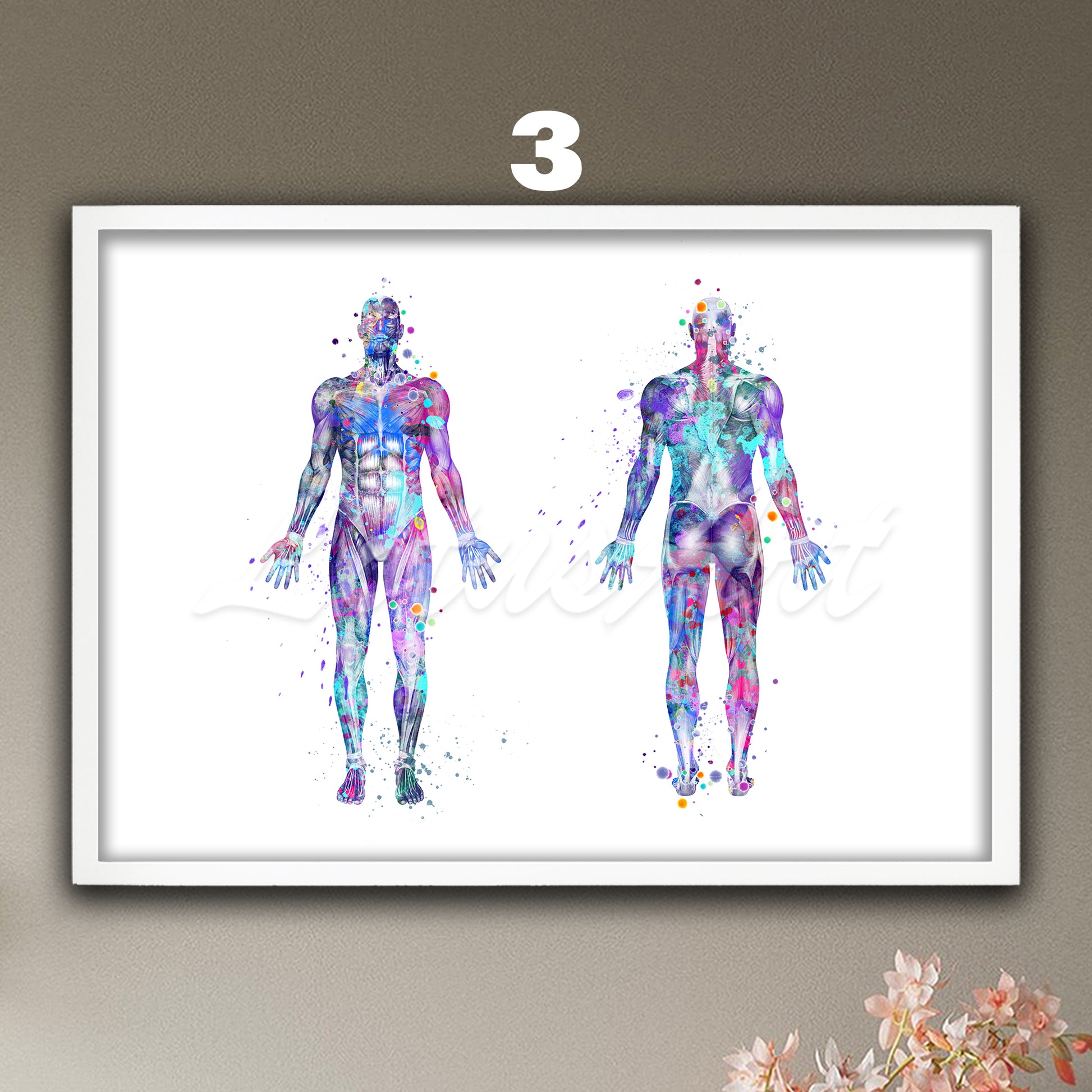 Body muscles anatomy watercolor print, blue purple medical wall art, clinic decor.
