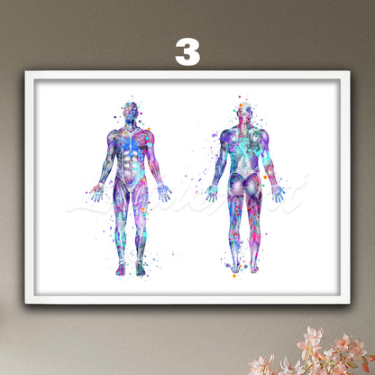 Body muscles anatomy watercolor print, blue purple medical wall art, clinic decor.