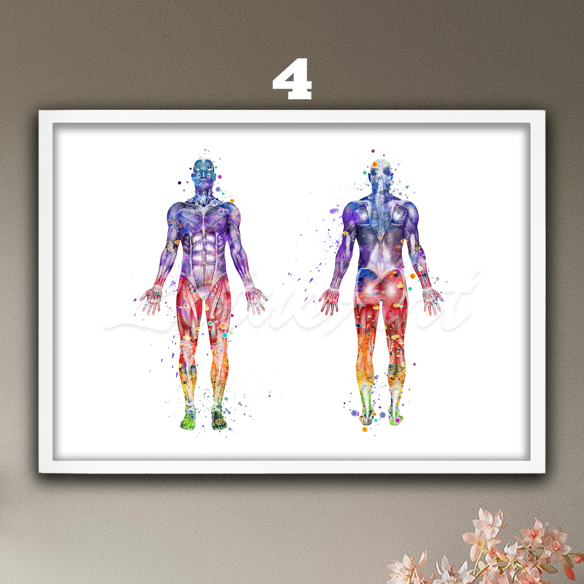 Body muscles anatomy watercolor artwork, medical art in rainbow colors, clinic wall decor.