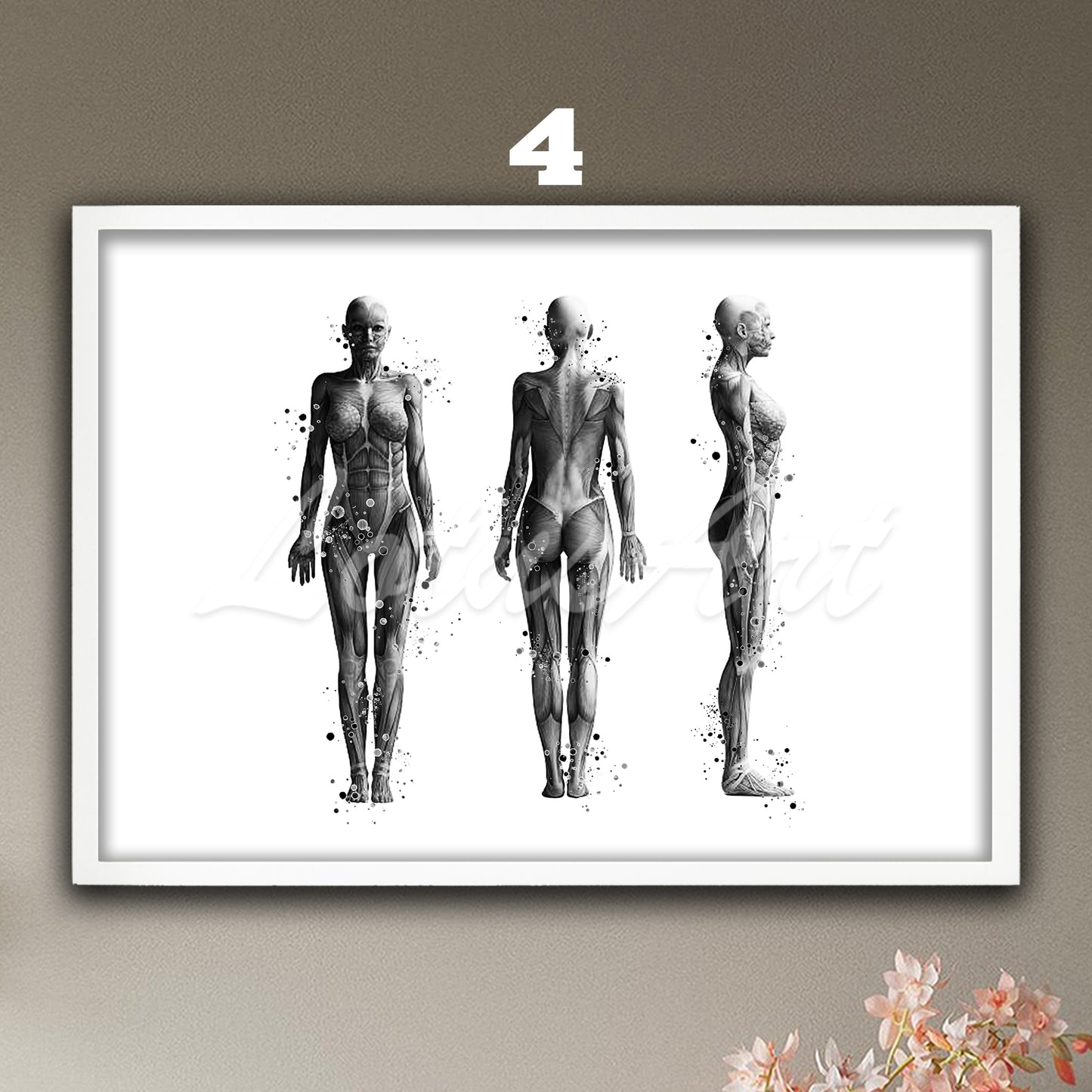 Medical watercolor artwork in black-white– anatomy of the muscles of the woman body.