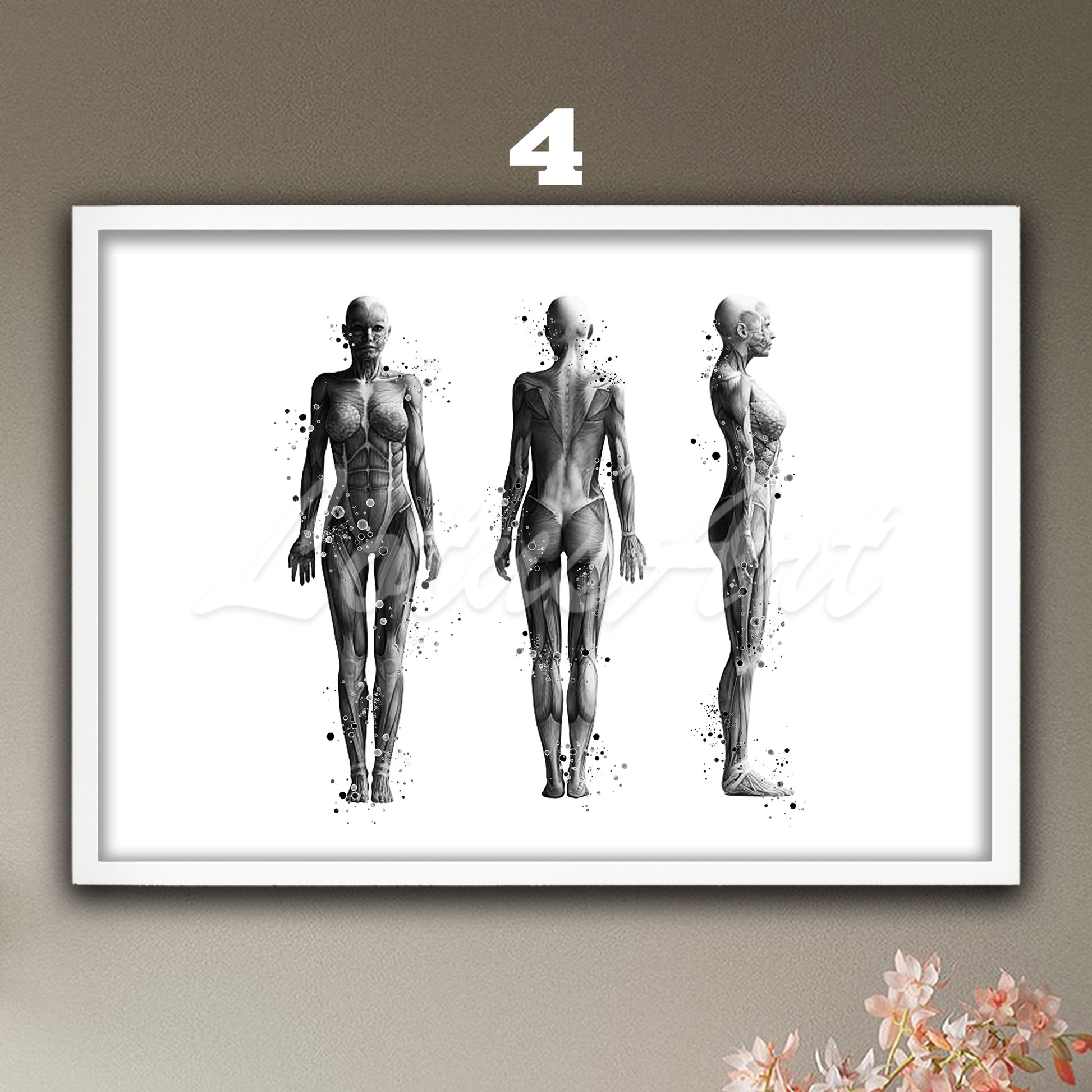 Medical watercolor artwork in black-white– anatomy of the muscles of the woman body.