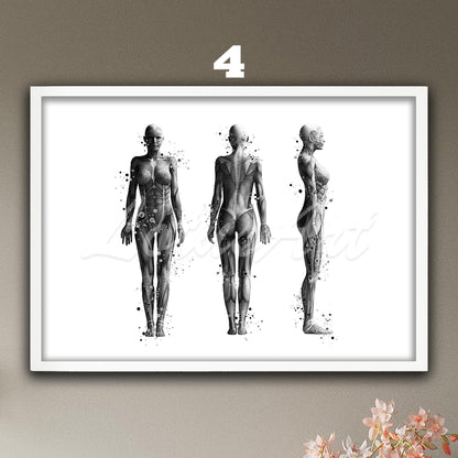 Medical watercolor artwork in black-white– anatomy of the muscles of the woman body.