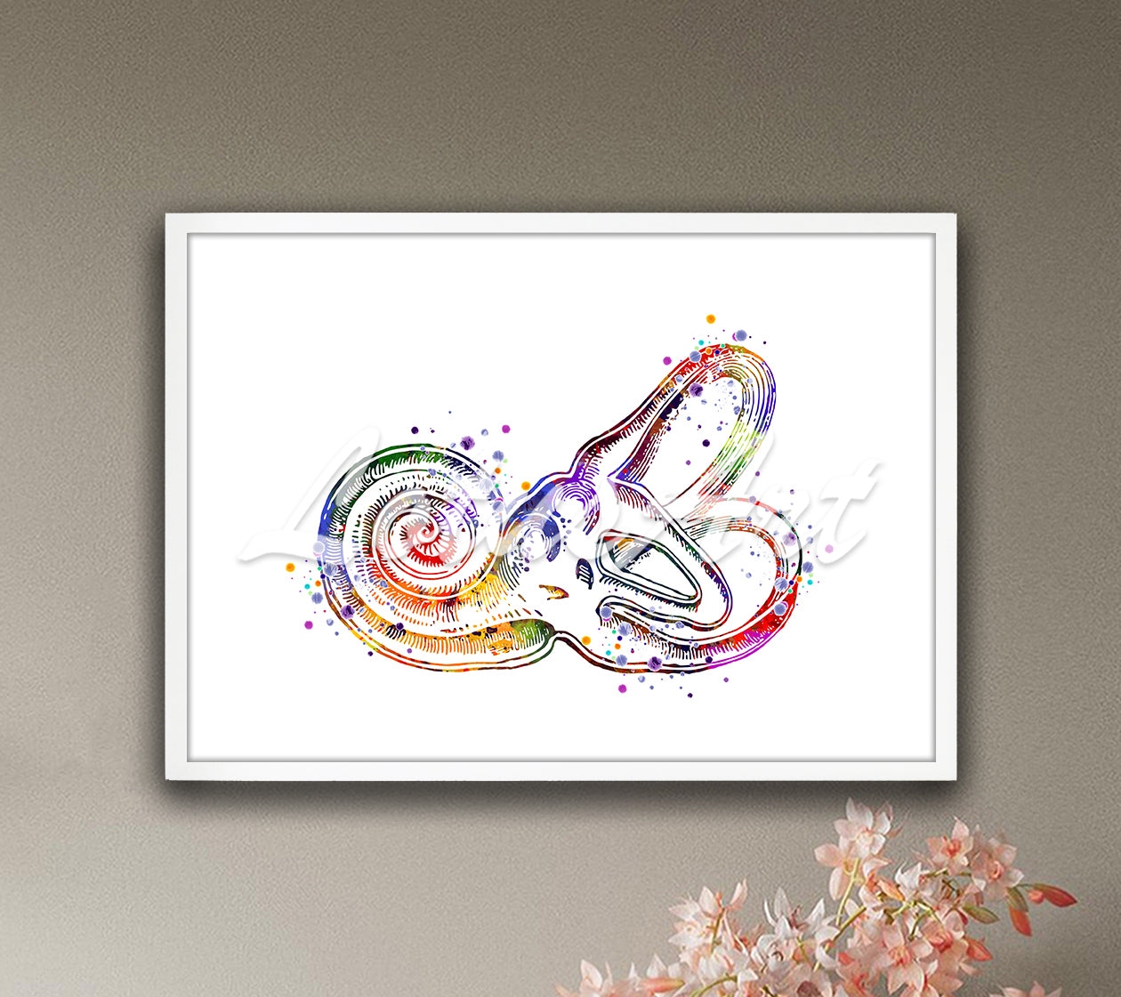 Bony labyrinth and cochlea anatomy detailed multicolor watercolor wall decor - hearing specialist medical artwork