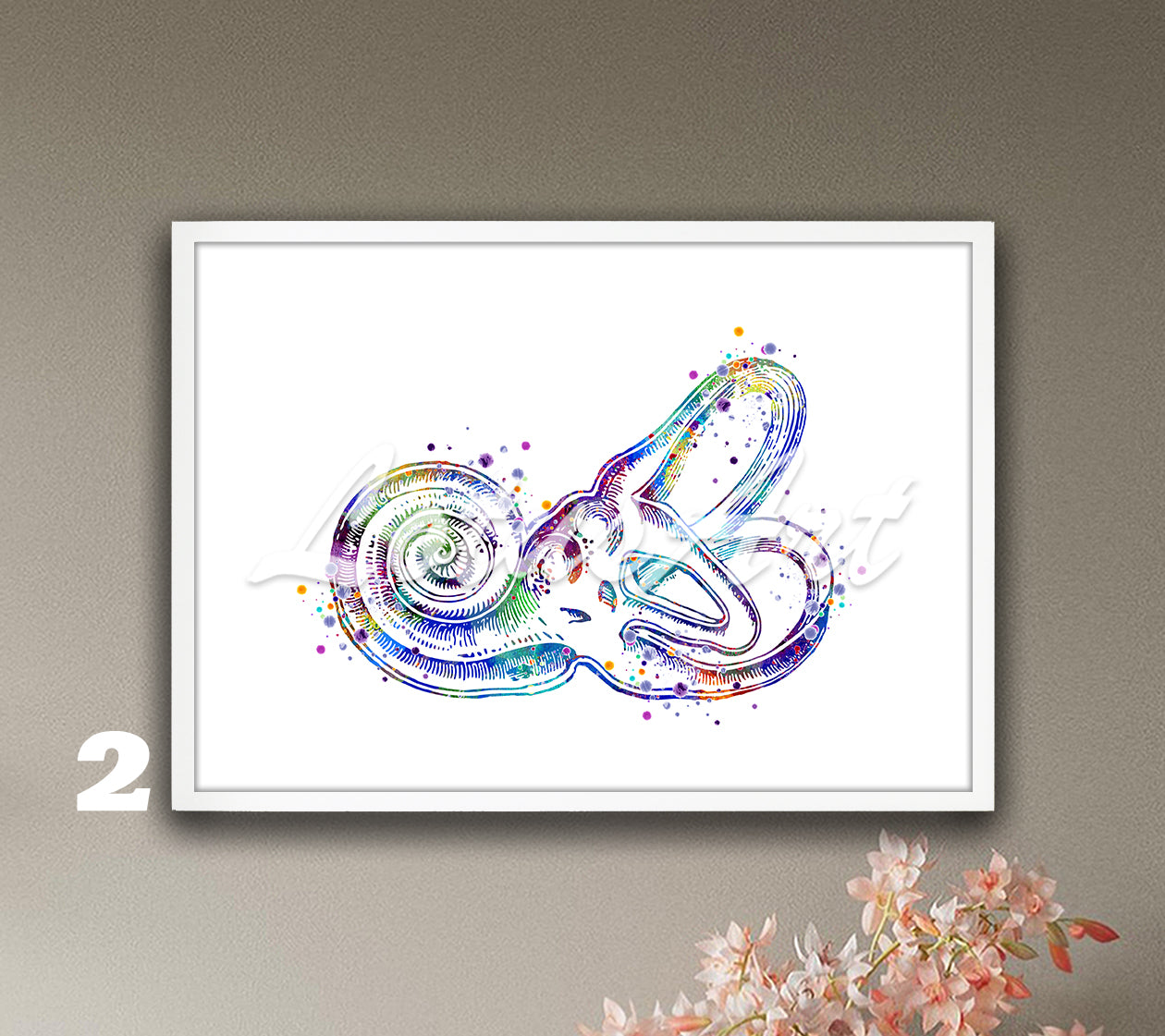 Bony Labyrinth Cochlea Anatomy Watercolor Print – Inner Ear Medical Poster & Audiologist Gift