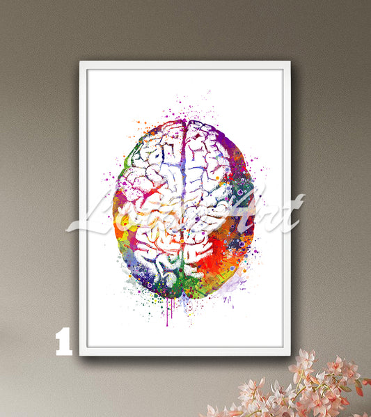 Human brain anatomy art print in multicolor – watercolor artwork of neuroscience medical wall decor.