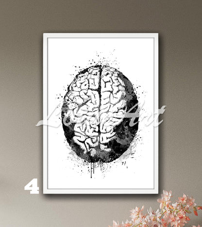 Human brain anatomy art print of a black-white watercolor painting for neuroscience medical wall decor.