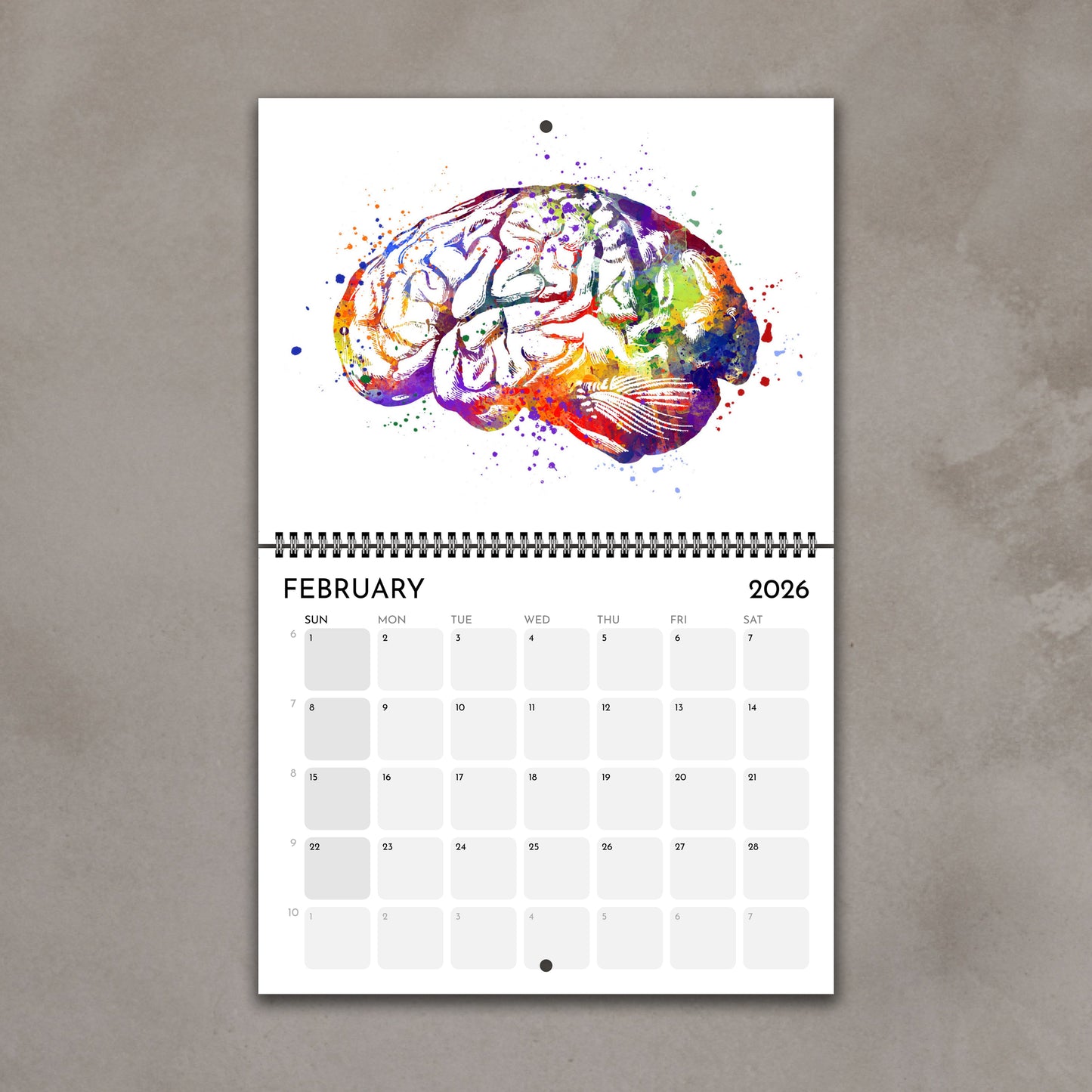 2026 anatomy wall calendar monthly spreads featuring human brain anatomy artwork